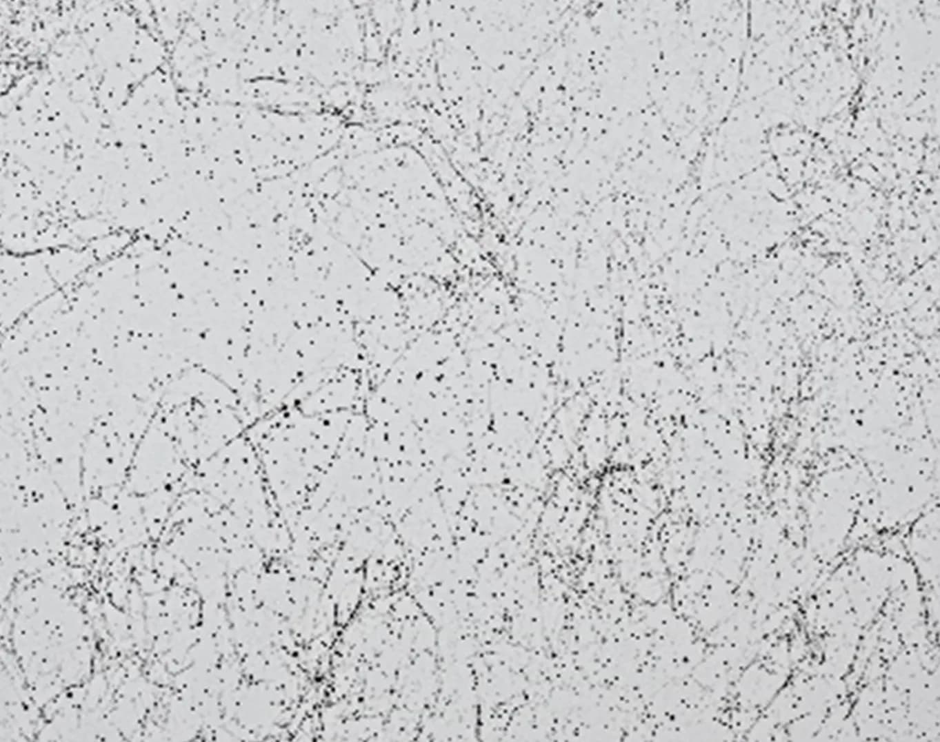 White Marble texture